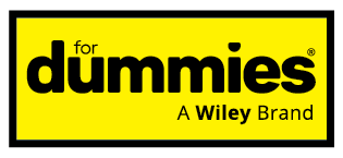 Dummies Brand Story logo with border